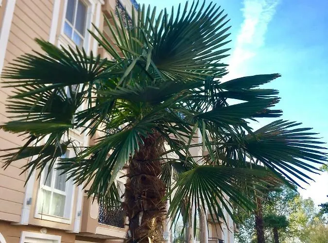 Apartello Modern - Balkan Breeze 7 Διαμέρισμα Σάνι Μπιτς